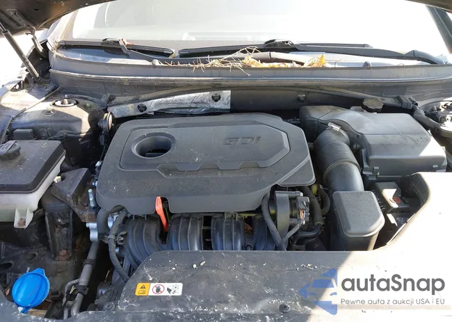 5NPE24AF9FH001606: 42643686