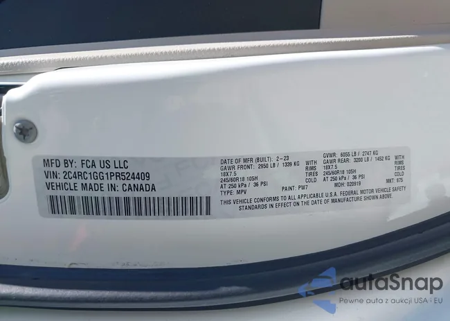 2C4RC1GG1PR524409: 42644377