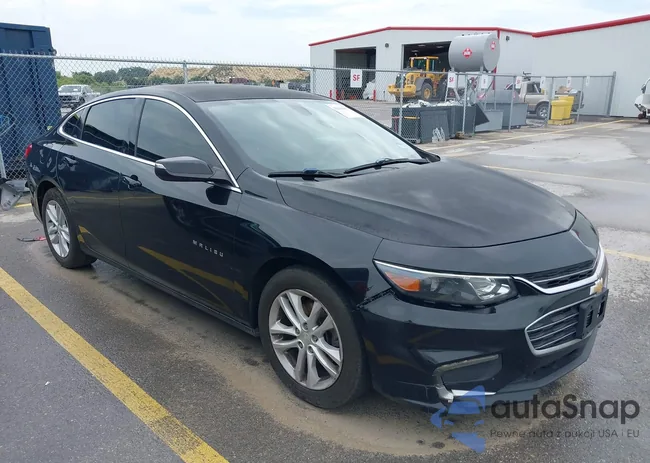 1G1ZE5ST7HF189695: 42644387