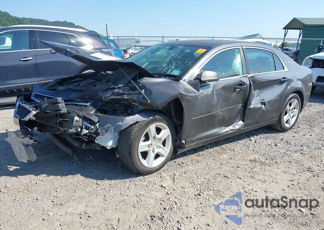 1G1ZB5E02CF252141: 42646767