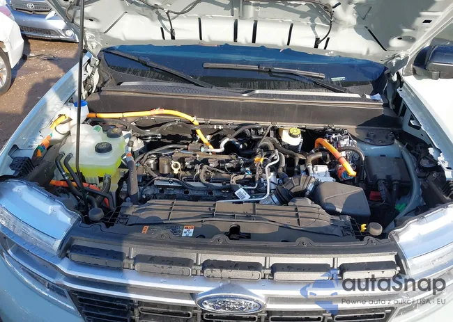 3FTTW8M30RRA82792: 42646061