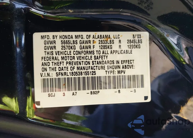 5FNRL18053B155125: 42646162