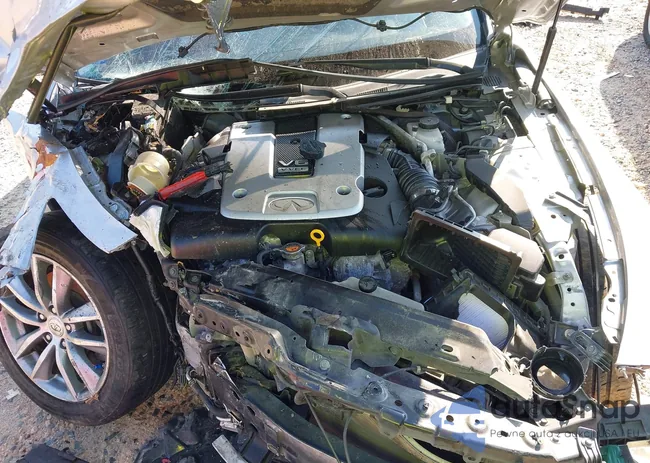 JN1BV7AP9FM339293: 42647352