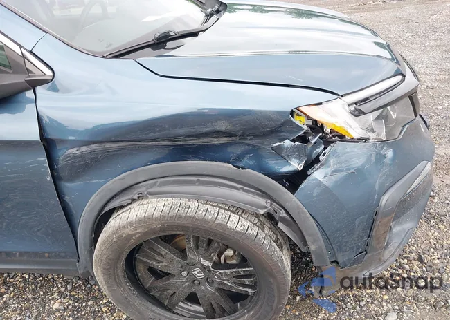 5FNYF6H20MB014319: 42647551