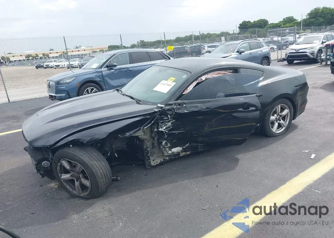 1FA6P8AM0F5429565: 42647000