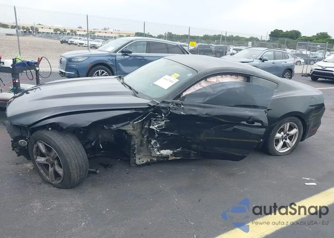 1FA6P8AM0F5429565: 42647000