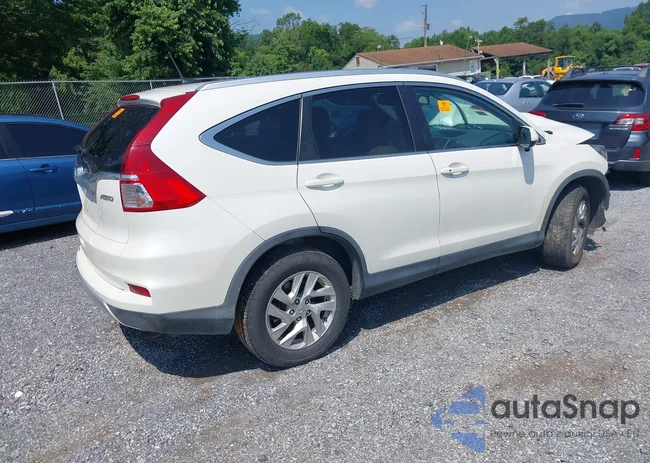 5J6RM4H79GL115008: 42648440