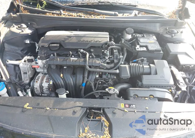 5NPLS4AG9MH043979: 42648949