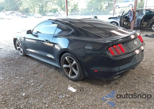 1FA6P8AM1G5281458: 42649977