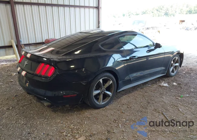 1FA6P8AM1G5281458: 42649977