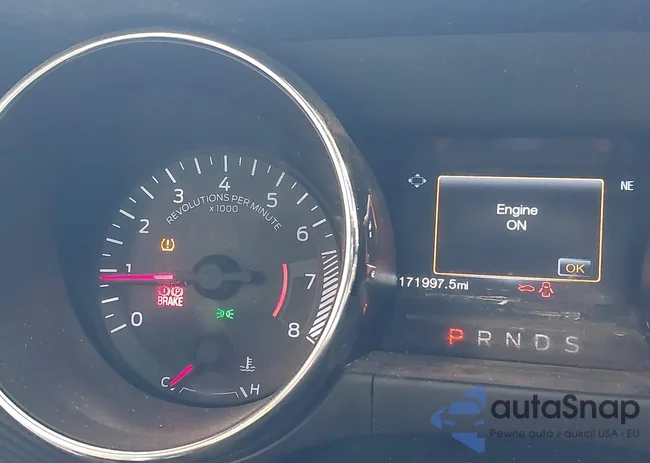 1FA6P8AM1G5281458: 42649977