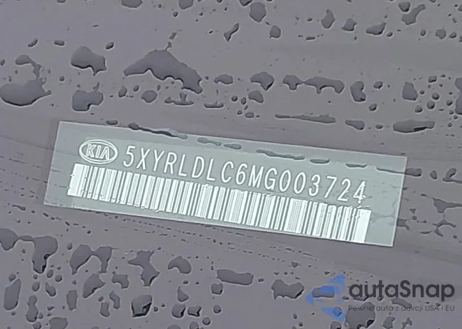 5XYRLDLC6MG003724: 42650155