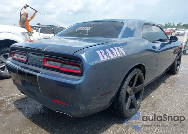 2C3CDZAG4GH245251: 42650173