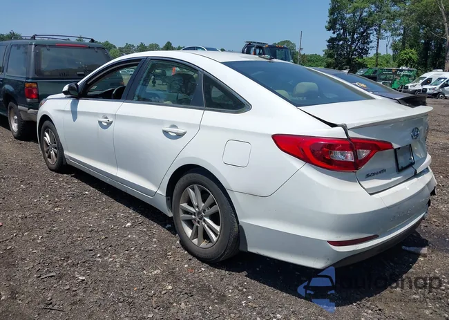 5NPE24AF6HH523418: 42650279