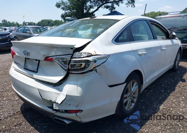 5NPE24AF6HH523418: 42650279