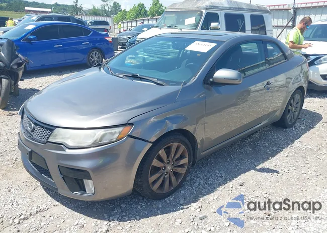 KNAFW6A33B5386761: 42654445