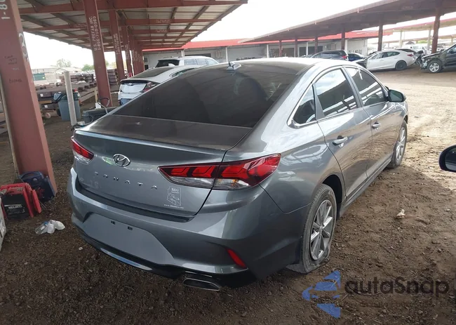 5NPE24AF1JH699282: 42654476