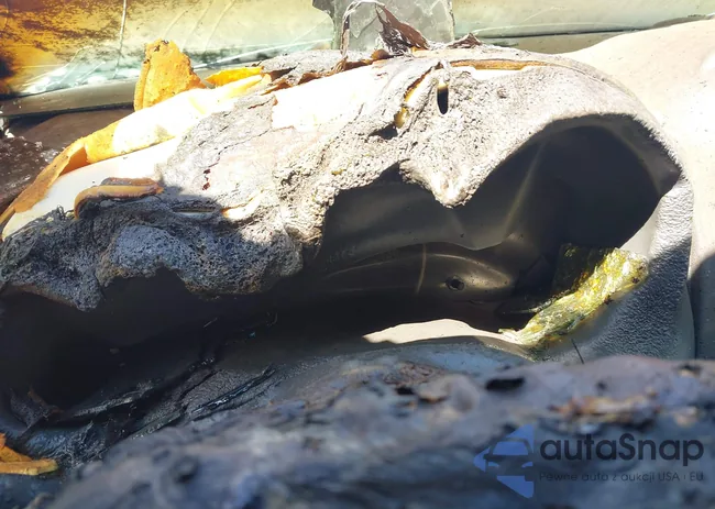 KNDMB233586202841: 42654585