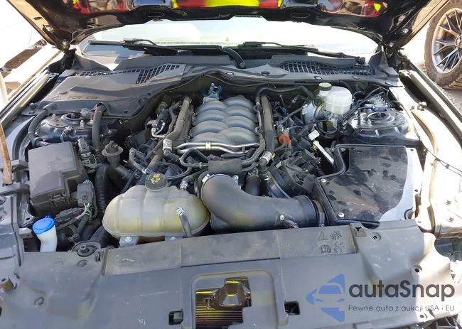 1FA6P8CF2L5192099: 42655870