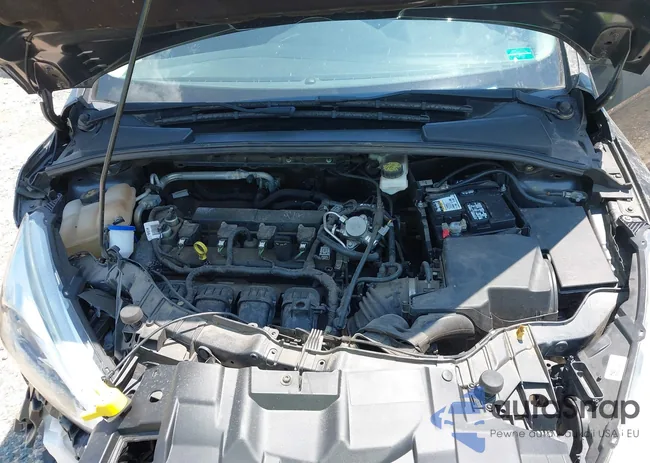 1FADP3F2XJL265487: 42656617