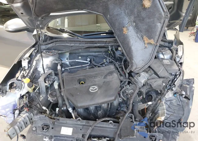 JM1BL1M60C1574469: 42656899