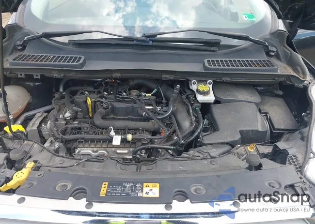 1FMCU9GD8KUB75490: 42657398