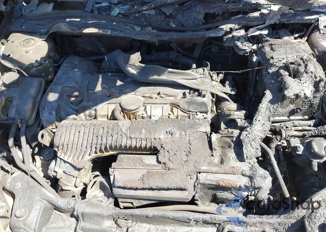 YV1672MKXB2201550: 42657655