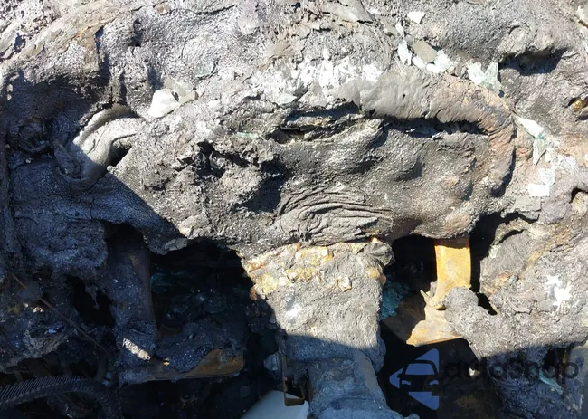 YV1672MKXB2201550: 42657655