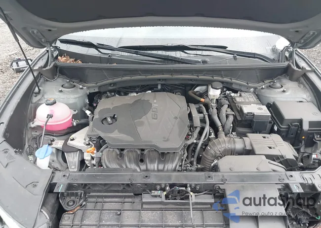 5NMJFCDE2RH325594: 42657879