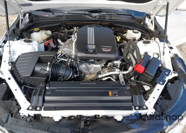 1G6DB5RK1N0135575: 42657008