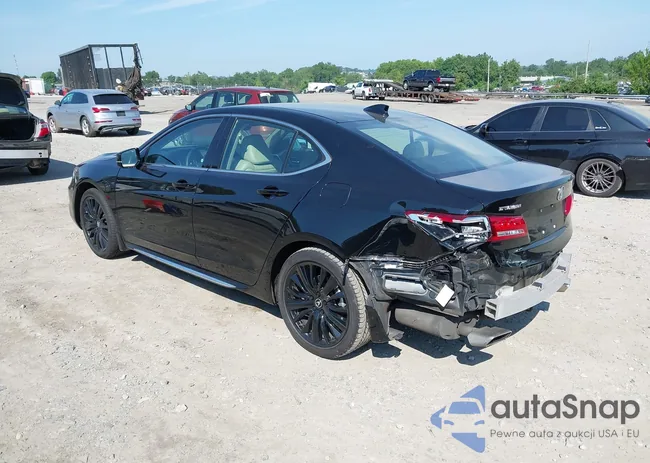 19UUB2F49KA007285: 42657203