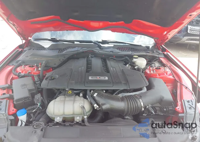 1FA6P8CF3N5134621: 42657254