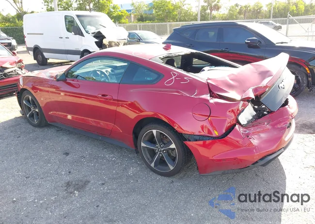 1FA6P8TH8L5167063: 42659677