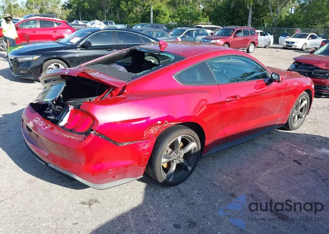 1FA6P8TH8L5167063: 42659677