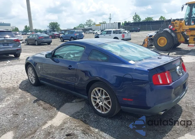 1ZVBP8AM6C5248214: 42660567