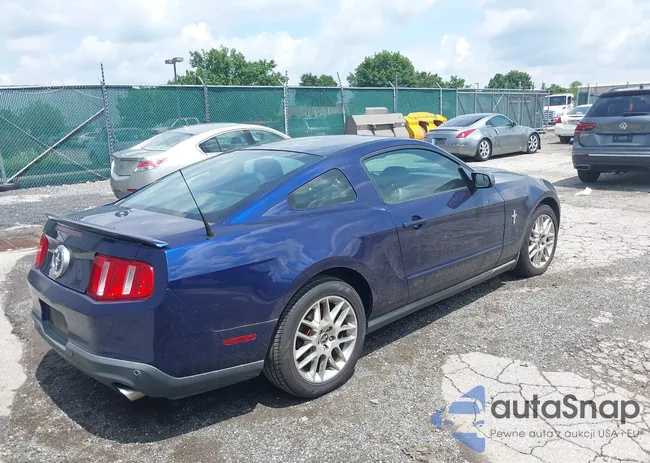 1ZVBP8AM6C5248214: 42660567