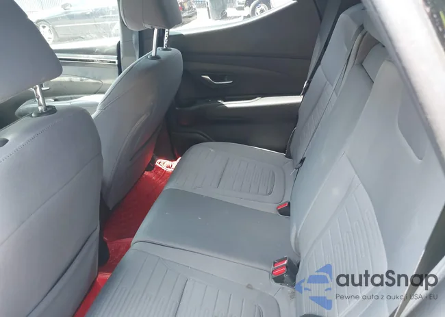 5NTJCDAEXNH002928: 42660628