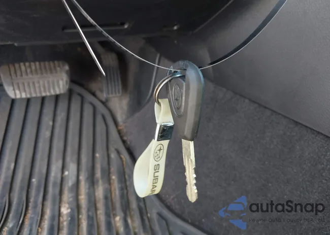 4S4BP66C397323483: 42661584