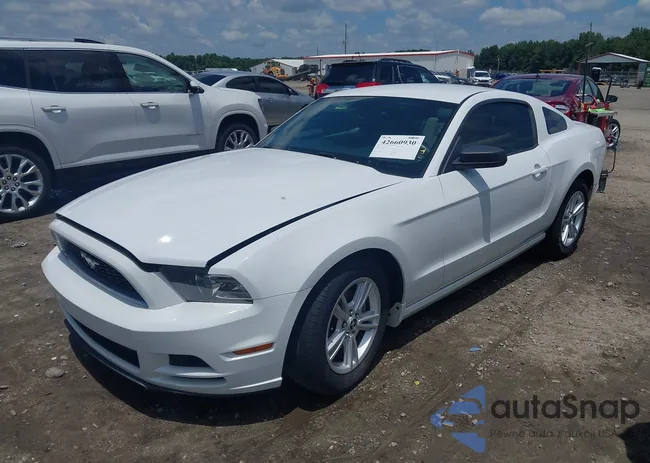 1ZVBP8AM8E5253563: 42660930