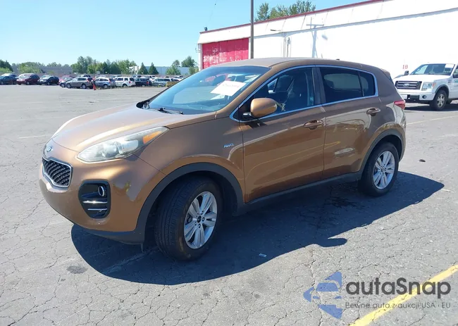 KNDPMCAC6H7069565: 42662094