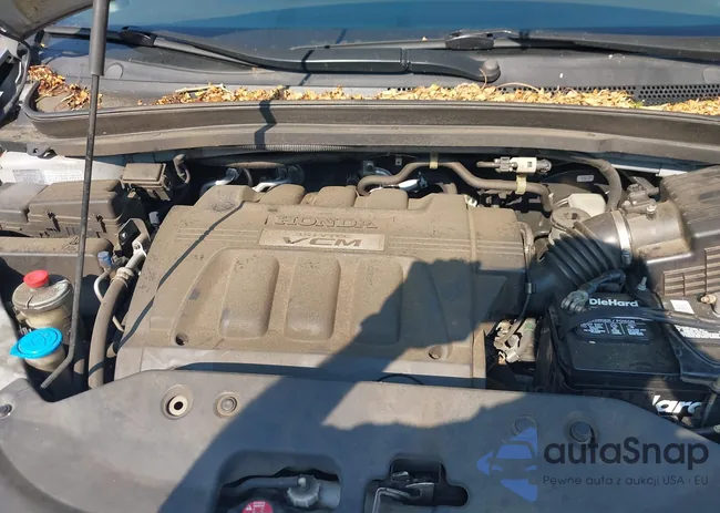 5FNRL3H79AB079155: 42663239