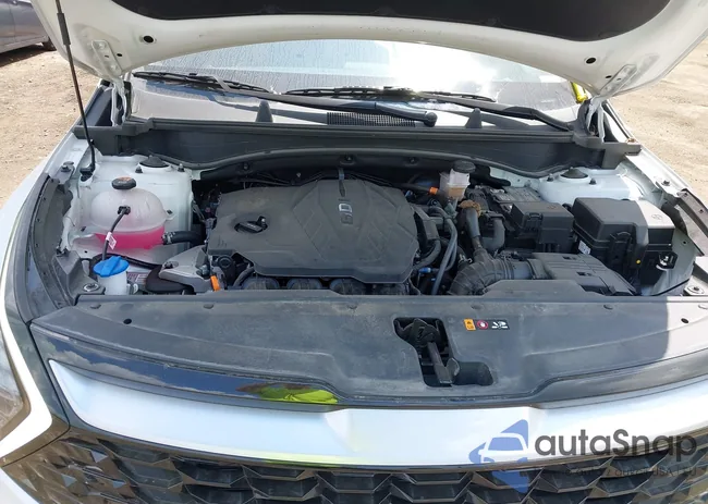 5XYK33DF1RG203793: 42664584