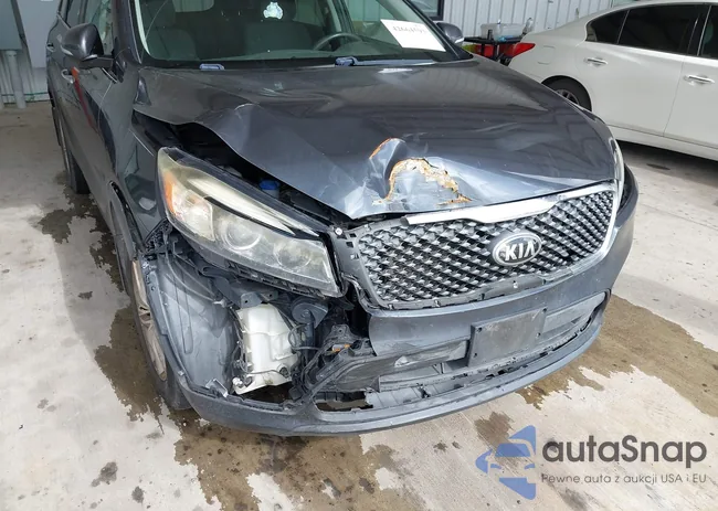 5XYPG4A56GG141736: 42664593