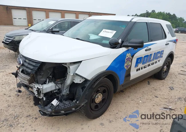 1FM5K8ARXGGD32990: 42666343