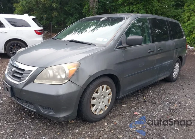 5FNRL38238B103576: 42666108