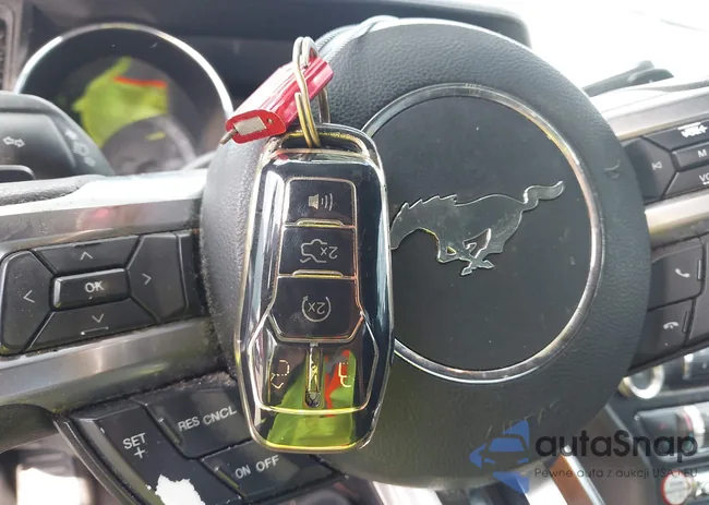 1FA6P8TH6F5319636: 42667885