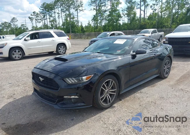 1FA6P8TH6F5319636: 42667885