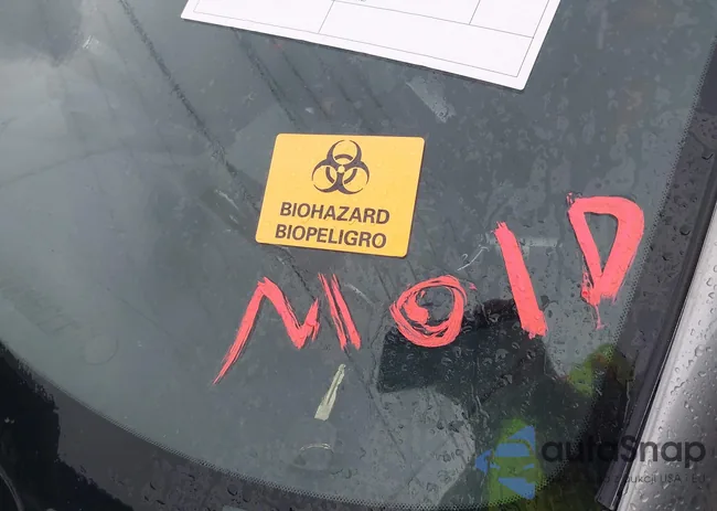 JN1AZ34D85M608022: 42669489