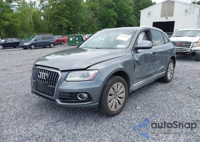 WA1C8AFP5DA039418: 42669660