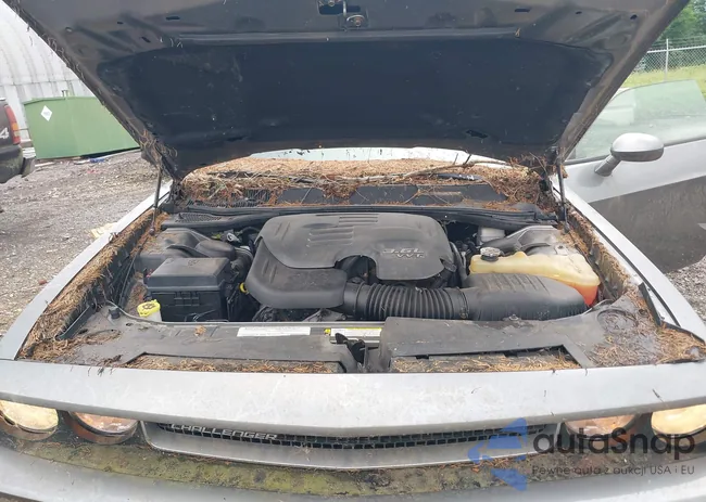 2B3CJ4DG8BH558302: 42671681